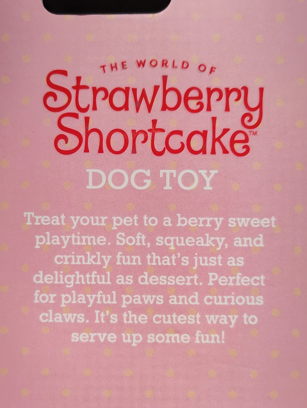 Strawberry Shortcake Plush Crinkle and Squeak Dog Toy